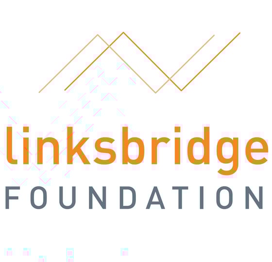 Linksbridge Foundation Logo
